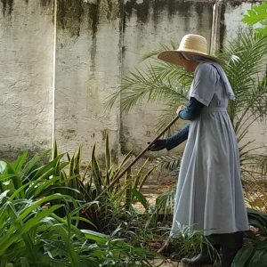 SERVIÇO COMUNIDADE